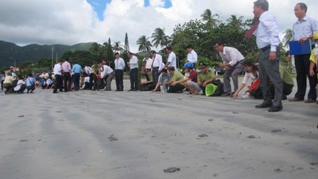 Các hình đại biểu tham gia thả rùa con về đại dương